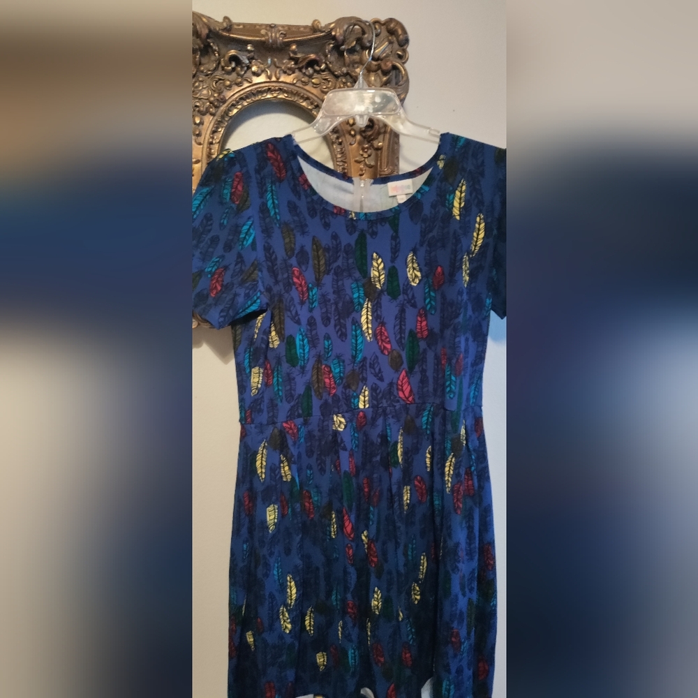 Lularoe 2xl